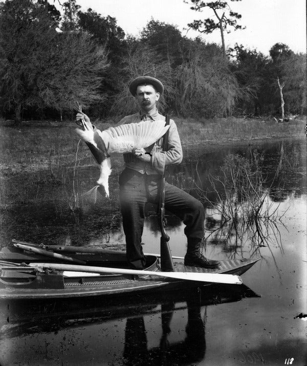 historic photo of man holding a wading bird
